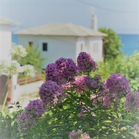 Erato 2*