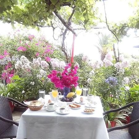 Erato Гостевой дом