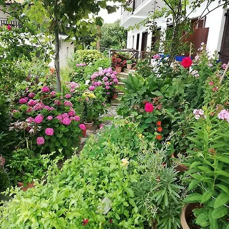 Erato 2* Хорефто